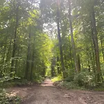 Sonnenschein